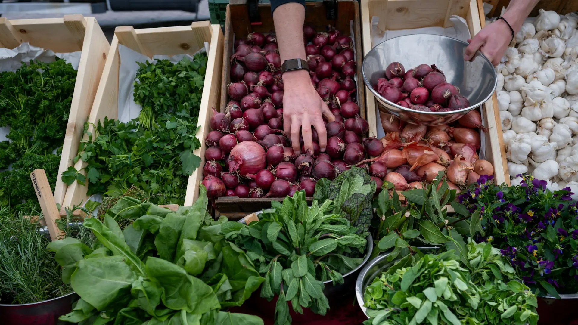 Mains qui choisissent des légumes de saison sur un étal de marché
