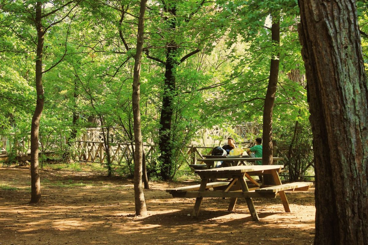 Activités nature à faire lors d&rsquo;un week-end