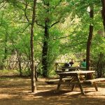 Activités nature à faire lors d&rsquo;un week-end