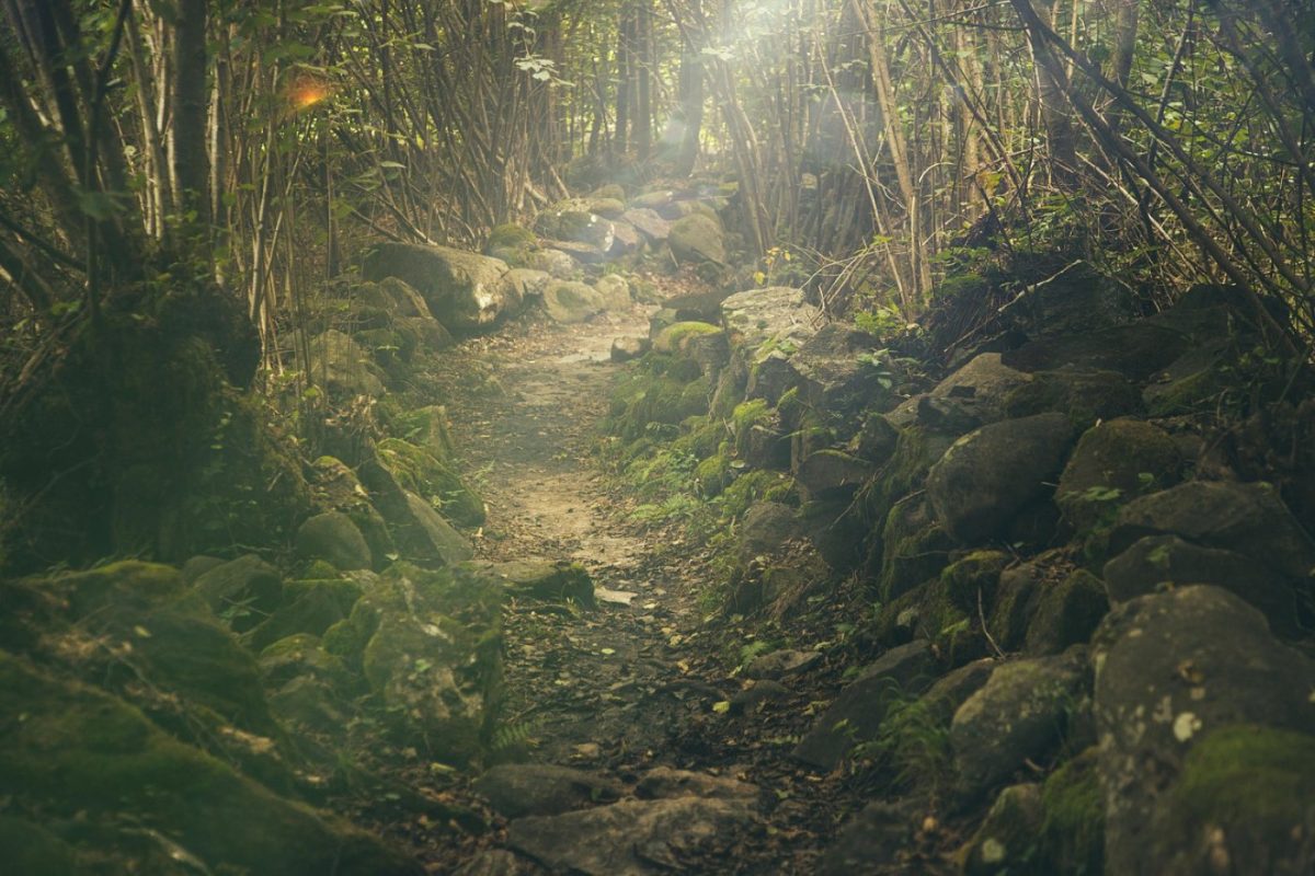 Activités nature à faire lors d'un week-end