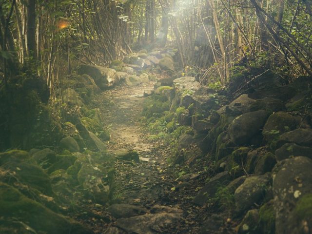Activités nature à faire lors d’un week-end