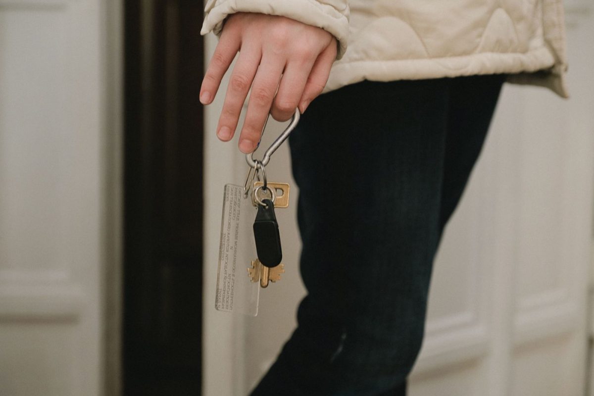Chalet ou appartement pour vos vacances : guide comparatif