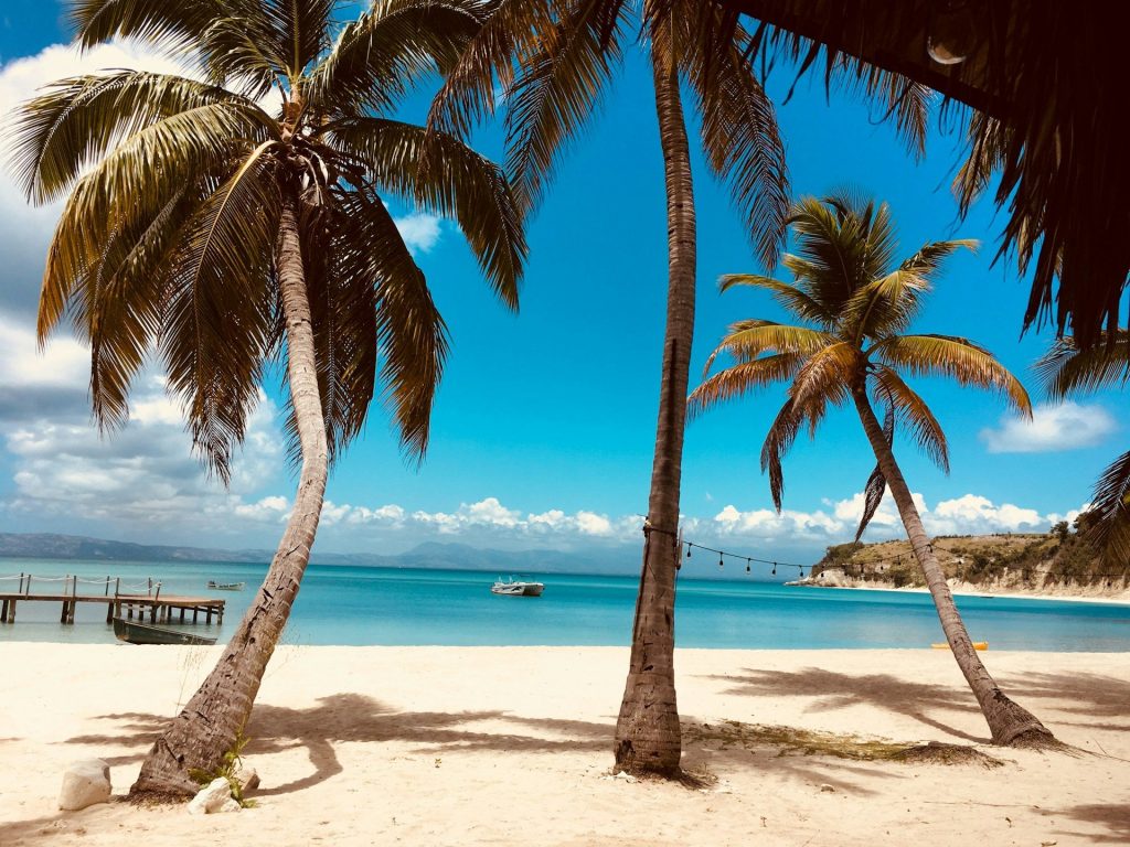 Plage de sable blanc bordée de palmiers sous un ciel bleu