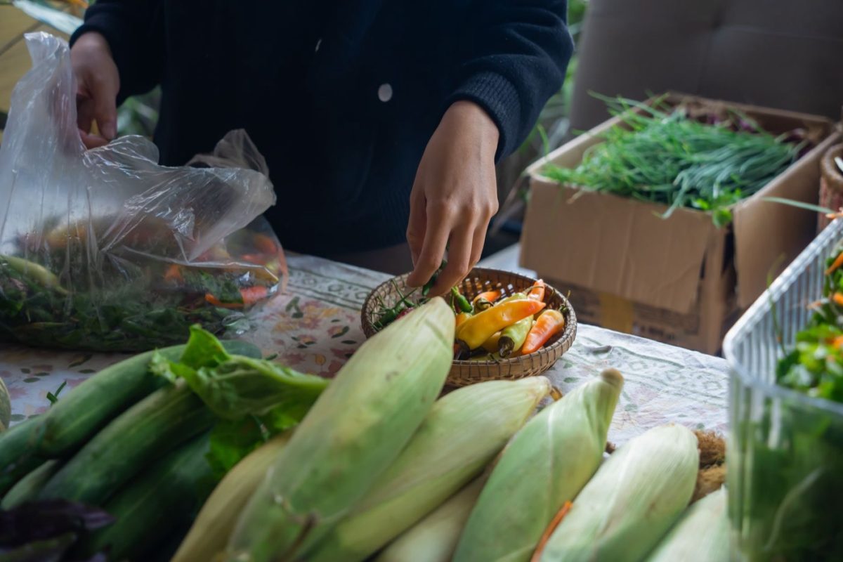 Adresses et conseils pour une sortie gourmande terroir