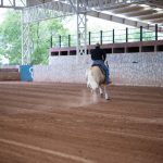 Equita Lyon 2026 : 28 octobre au 1er novembre