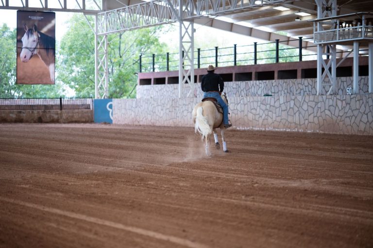 Equita Lyon 2026 : 28 octobre au 1er novembre