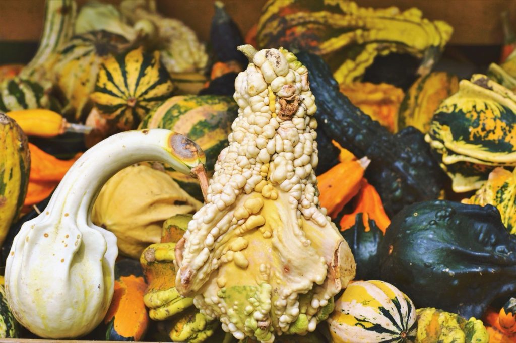 Légumes d'automne: guide de septembre à novembre