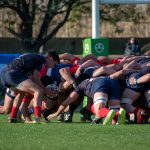 XV de France novembre 2026 : trois test-matchs décisifs