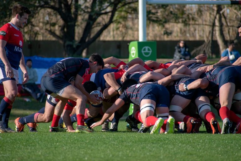 XV de France novembre 2026 : trois test-matchs décisifs