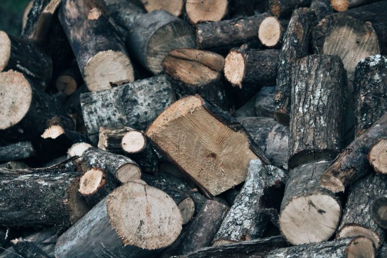 Pellets ou bûches : quel combustible choisir pour votre chauffage