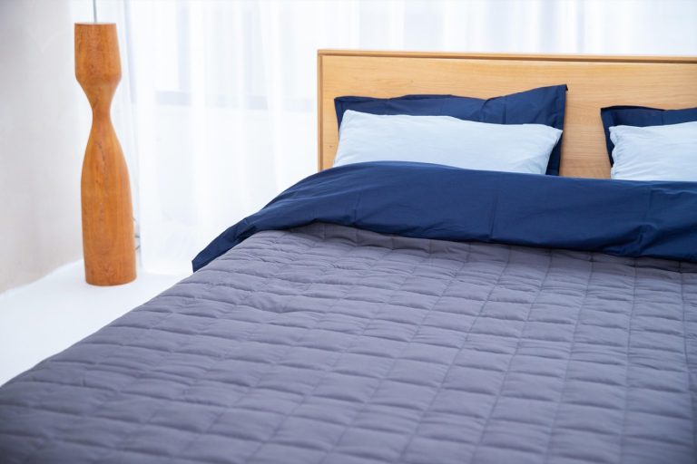 Comment se débarrasser des punaises de lit efficacement